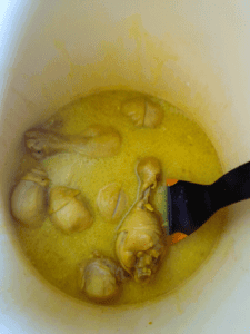 Boil opor ayam