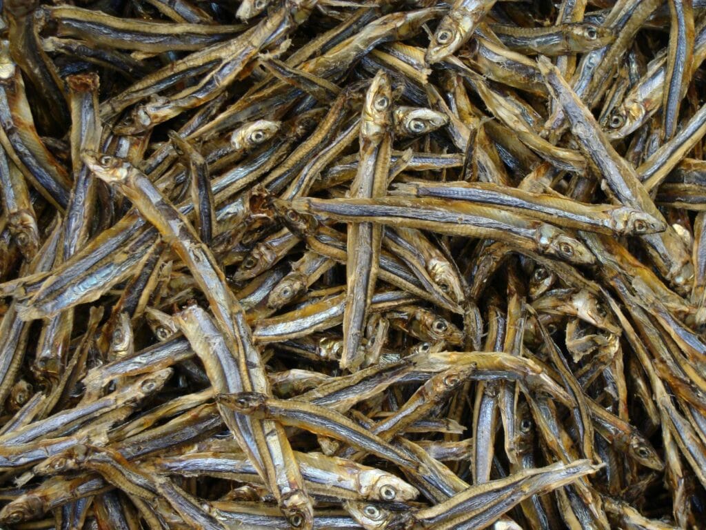 Dried Anchovies